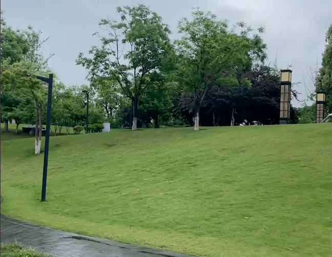 公園弱電智能化：開啟智慧公園新時(shí)代